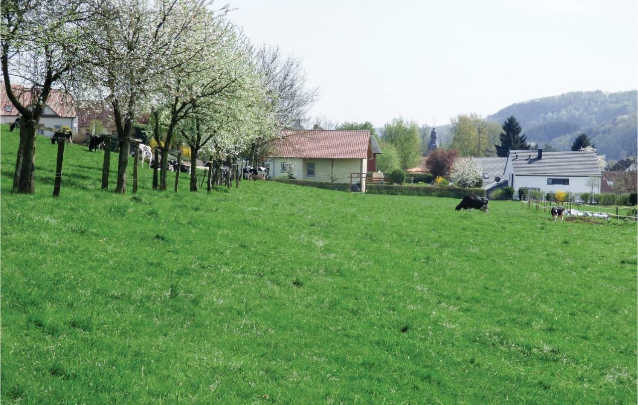 Amazing Home In Koerperich-Obersgegen With Sauna Eksteriør bilde